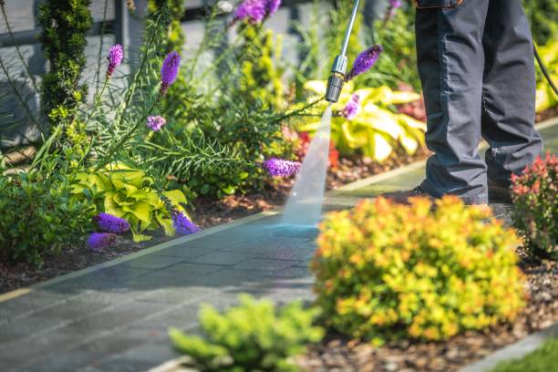 Best Patio and Deck Pressure Washing  in Woodcreek, TX